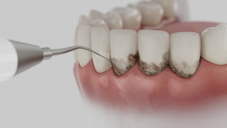 Reliable Dental contractor in Stuart, VA by Dentist Open Now